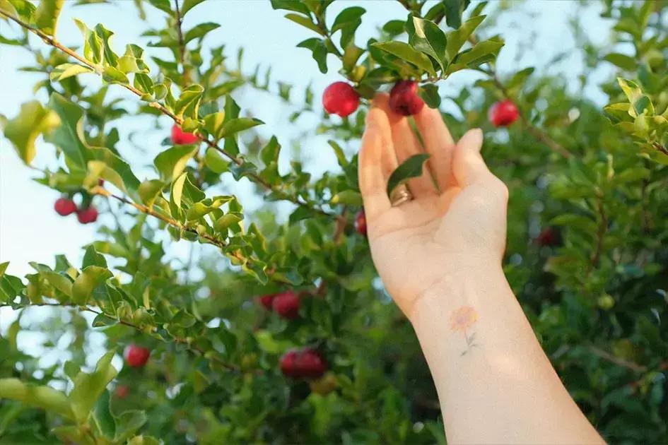 Escapada Familiar Durante o Carnaval